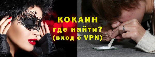 бошки Белокуриха