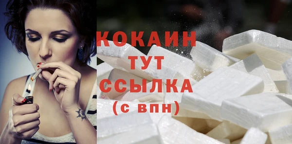 бошки Белокуриха