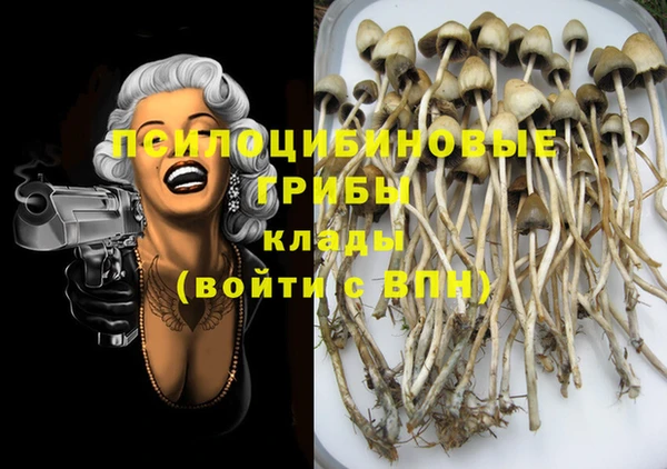 бошки Белокуриха