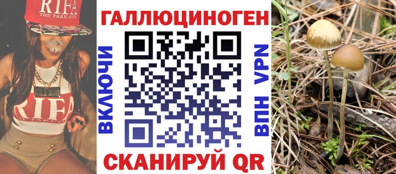 Псилоцибиновые грибы GOLDEN TEACHER  Малоярославец 
